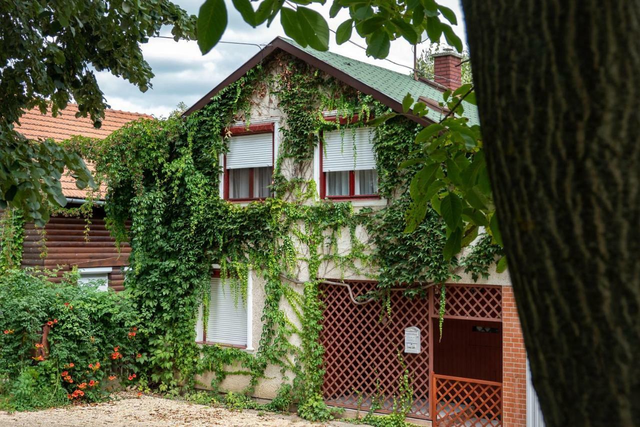 Vadszolo Apartmanhaz Дьомаэндрёд Экстерьер фото